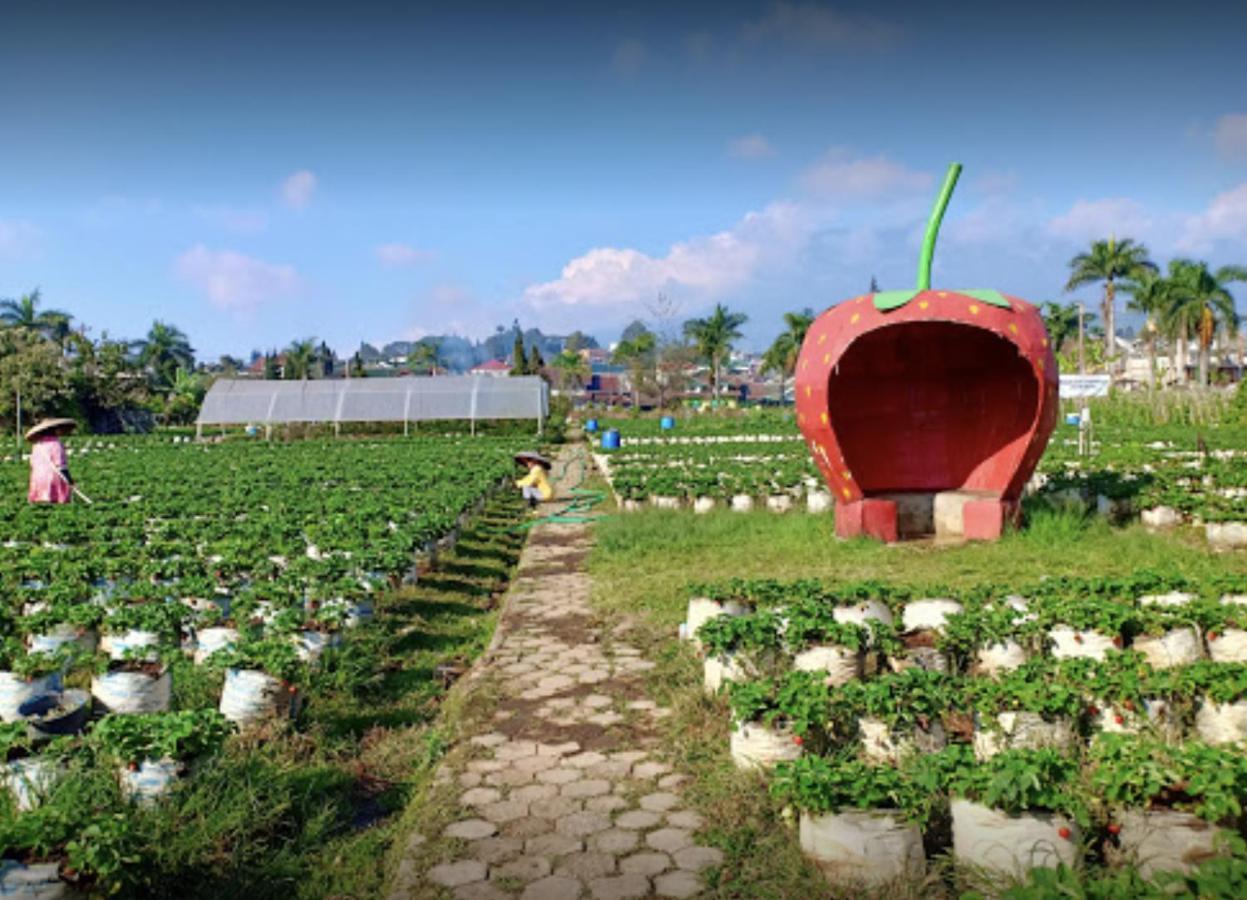 Villa Musti Green Apple Cipanas Sindanglaya Экстерьер фото